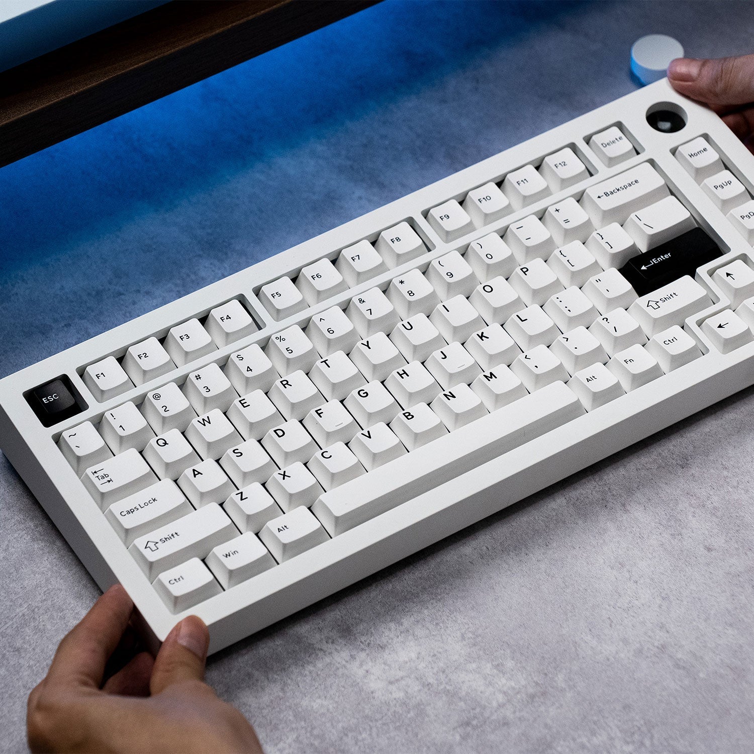 MonsGeek M1 V5- Black on White- Black & Silver- AKKO Germany