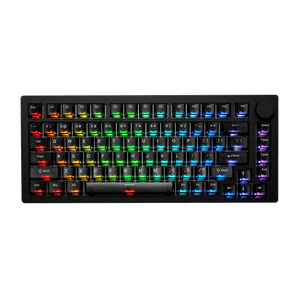 Generalüberholt MonsGeek M1 V5 HE