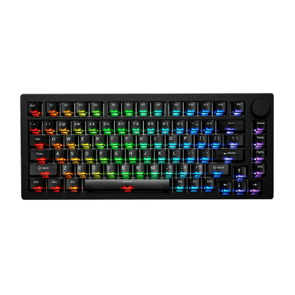 Generalüberholt MonsGeek M1 V5 HE