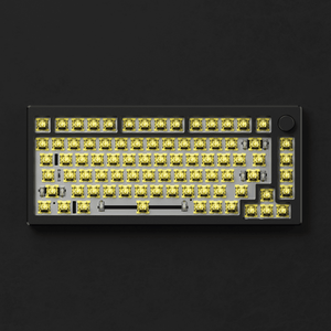 MOD 007B HE DIY kit