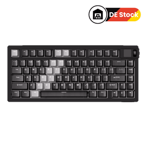 MOD 007 V5 HE Gradient Hybrid Black Transparent (DE Stock)