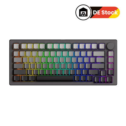 MonsGeek M1 V5 TMR Magnetic Keyboard DE Stock