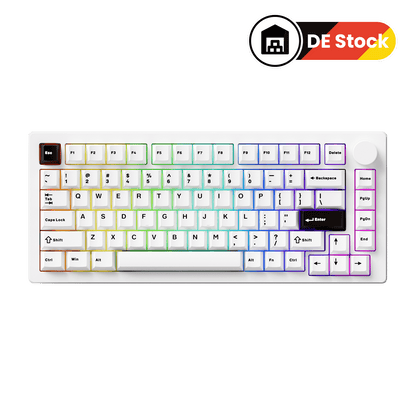 MonsGeek M1 V5 - Black on White - Black &amp; Silver