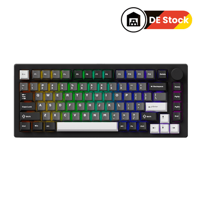 MonsGeek M1 V5 - Black on White- Black & Silver