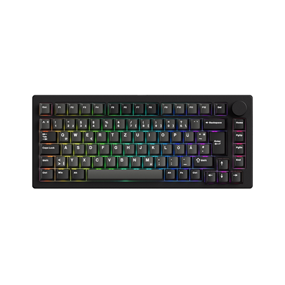 Generalüberholt MonsGeek M1 V5 TMR