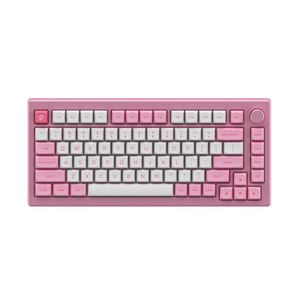 Prunus Lannesiana Tastenkappen Set ASA Low(155 Tasten)