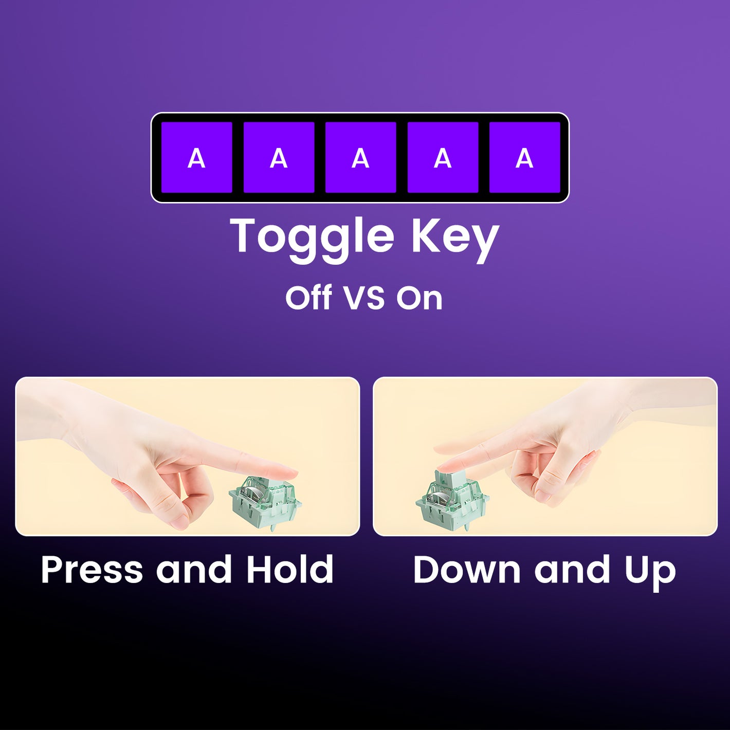 Shine60 HE Magnetic Keyboard Toggle Key