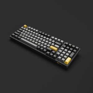 Black & Gold 3098B Plus