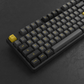 Black & Gold 5108B Plus