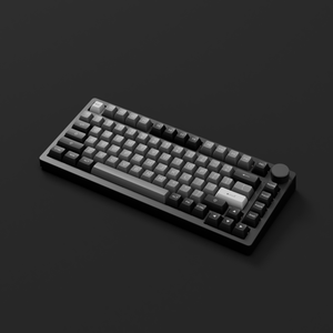 Black&Silver PC75B Plus